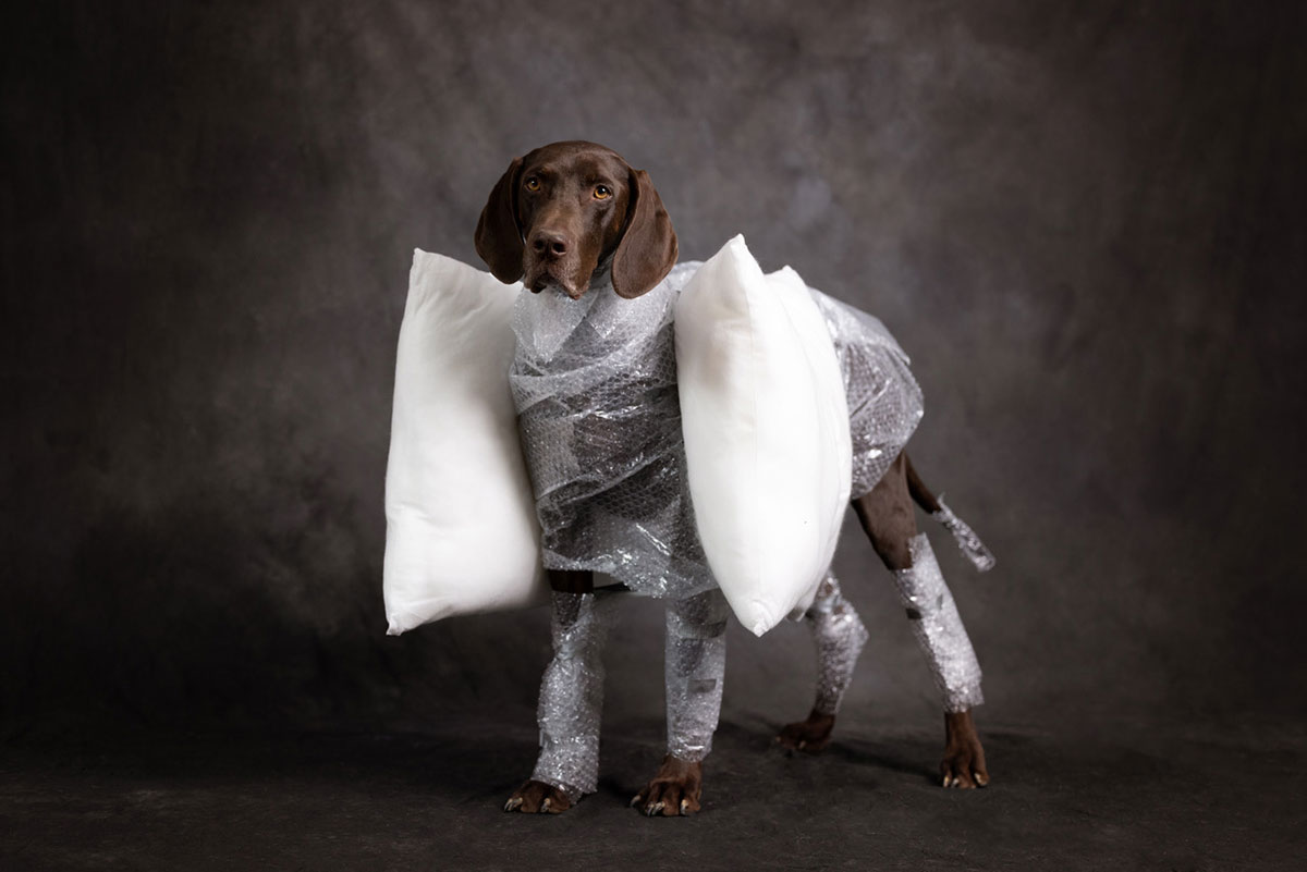 Otto_Obst_Sicherheitsbeauftragter_1100x801px